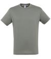 11380 Regent T-shirt Zinc colour image